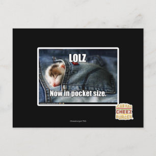 LOLZ jetzt in Pocket Size Postkarte