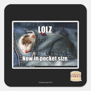 LOLZ jetzt in Pocket Size Quadratischer Aufkleber
