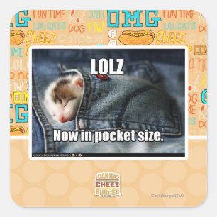 LOLZ jetzt in Pocket Size Quadratischer Aufkleber