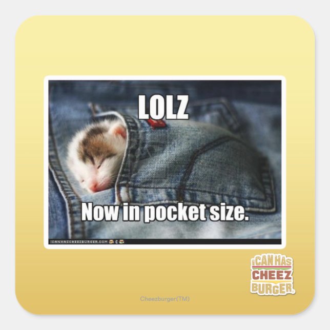 LOLZ jetzt in Pocket Size Quadratischer Aufkleber (Vorderseite)