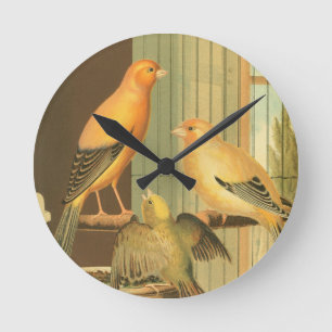 London Fancy Kanarienvögel - alte Vögel Runde Wanduhr