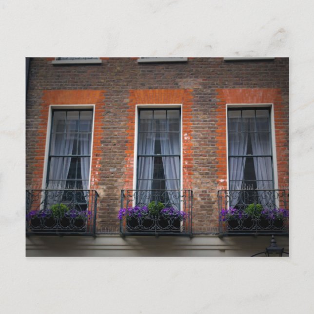 London-Fenster-Blume packt Postkarte ein (Vorderseite)