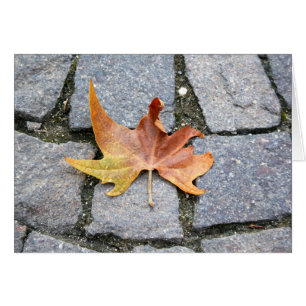 London-Flugzeug-Baum-Blatt