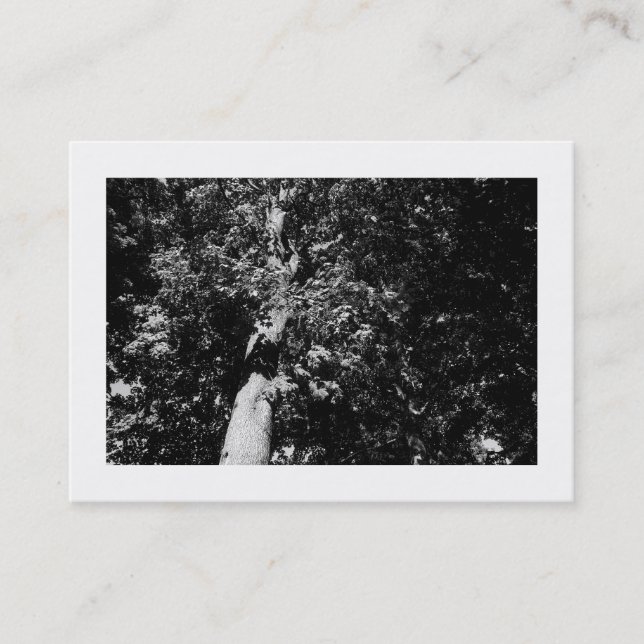 London Flugzeug Tree B&W, Mini Foto Visitenkarte (Vorderseite)