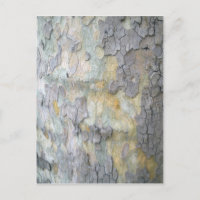 London Flugzeug Tree Bark Postcard