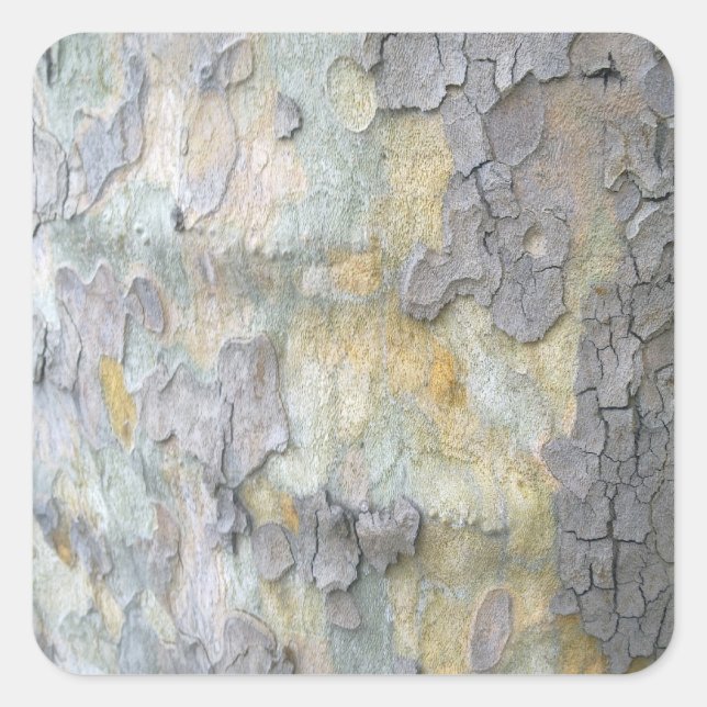 London Flugzeug Tree Bark Sticker (Vorderseite)