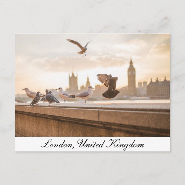 London, Parlament Postcard Postkarte (Vorderseite)