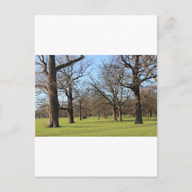 London Postkarte (Vorderseite)