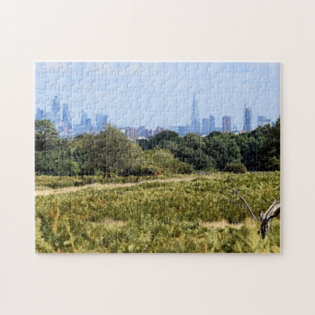 London Skyline aus Richmond Park - 11 x 14 Zoll (Horizontal)