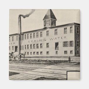 Londonderry Lithia Spring Water Co Magnet