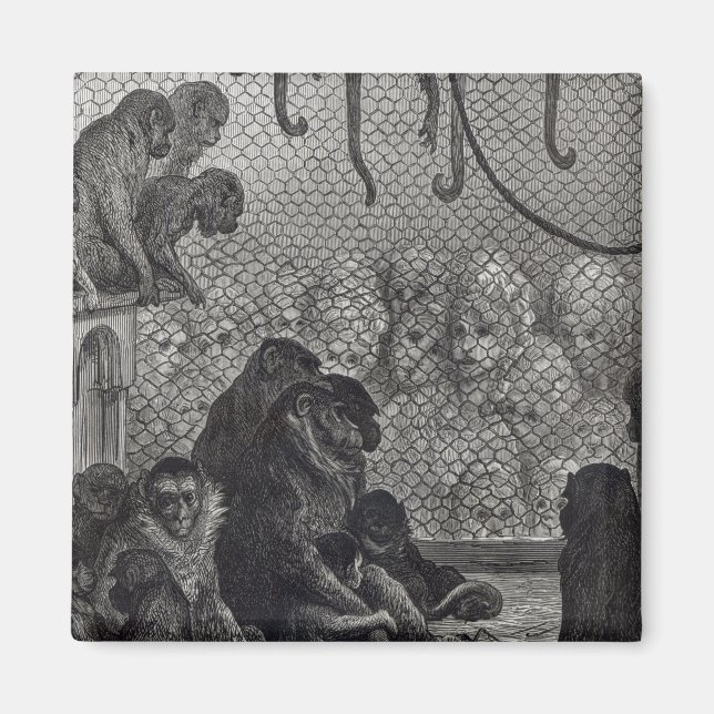 Londoner Affen Magnet (Vorne)