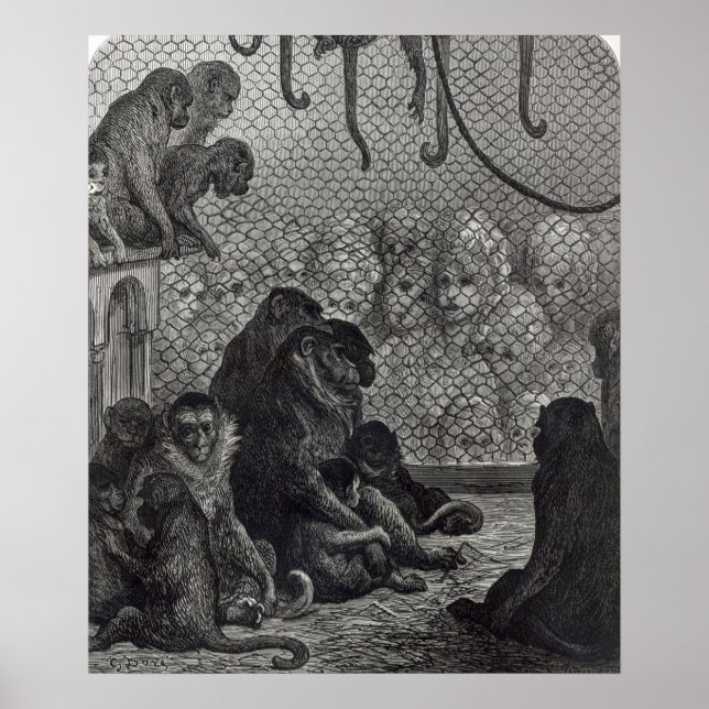Londoner Affen Poster (Vorne)
