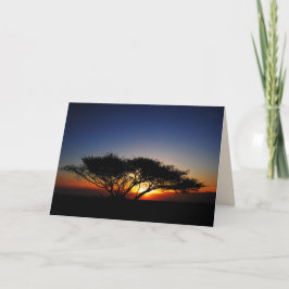 Lone Acacia bei fiery Red Sunrise, Blank Innen Karte