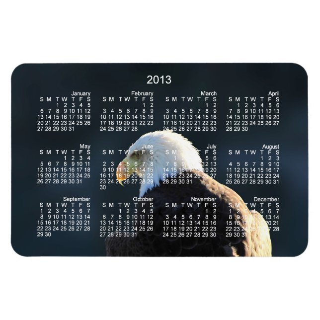 Lone Bald Eagle; Kalender 2013 Magnet (Horizontal)