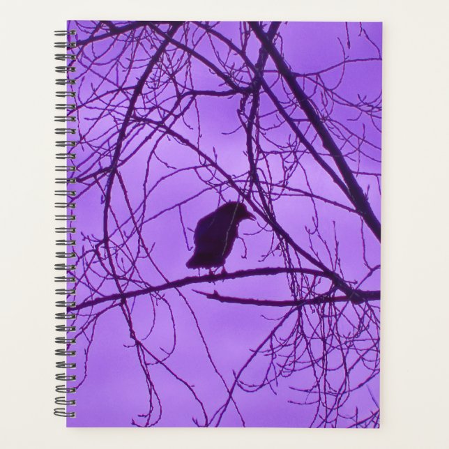 Lone Black Crow Silhouette in Trees Lila Sky Planer (Vorderseite)
