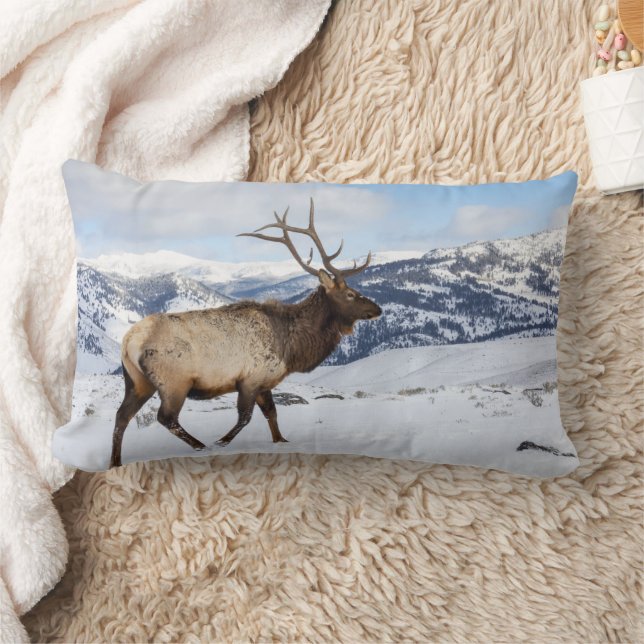 Lone Bull Elk | Yellowstone-Nationalpark Lendenkissen (Decke)