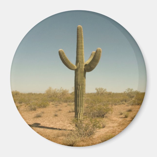 Lone Cactus Magnet (Vorne)