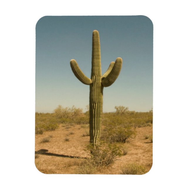 Lone Cactus Magnet (Vertikal)