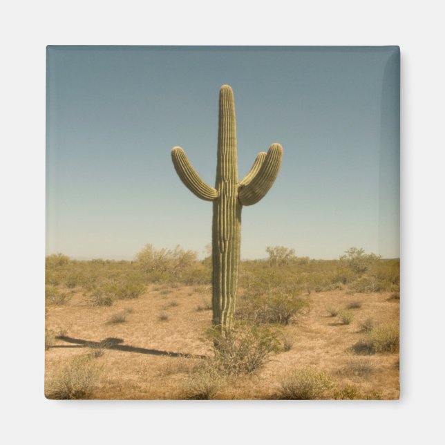 Lone Cactus Magnet (Vorne)