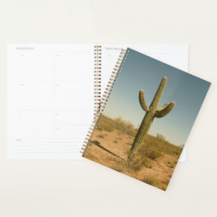 Lone Cactus Planer