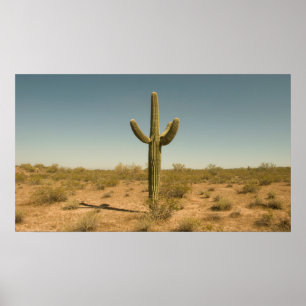 Lone Cactus Poster