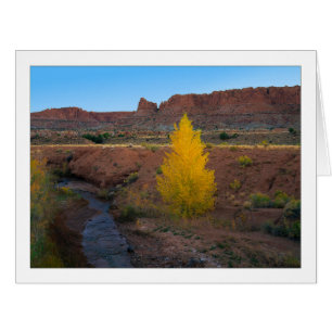 ‚Lone Cottonwood‘