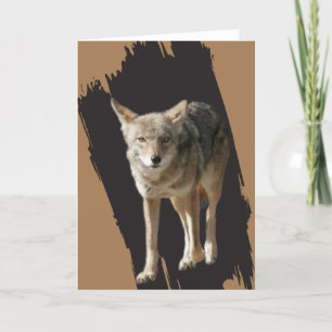 Lone Coyote Feiertagskarte