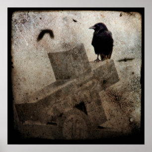 Lone Crow Poster