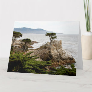 LONE CYPRESS Jumbo Grußkarte Karte