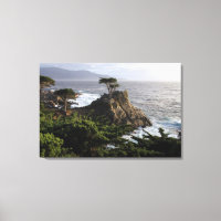 Lone Cypress - Leinenprint