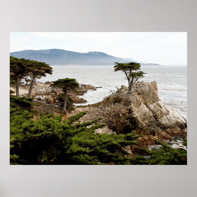 LONE CYPRESS Print, Value Poster Paper (Matte) (Devant)
