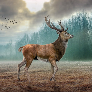Lone Dee in Misty Forest Mousepad