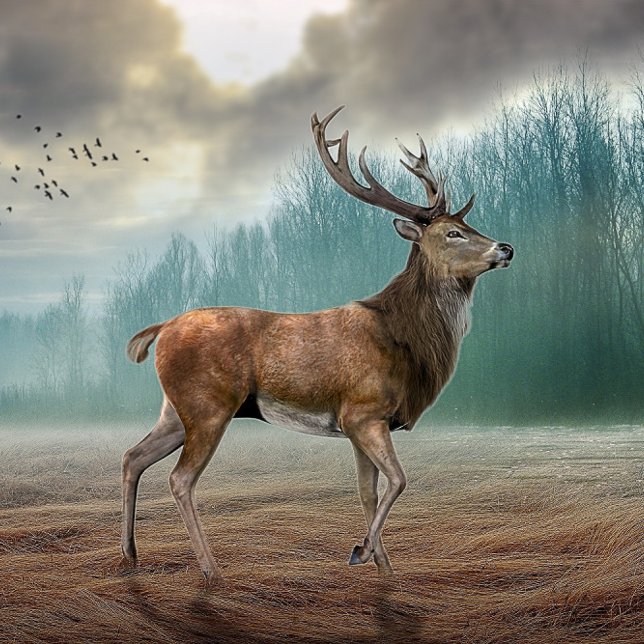 Lone Dee in Misty Forest Mousepad (Von Creator hochgeladen)