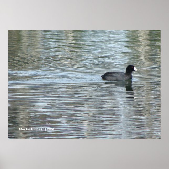 Lone Duck II Poster (Vorne)