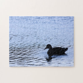 Lone Duck Silhouette Wildlife Water Ripples Foto
