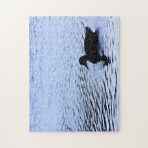 Lone Duck Silhouette Wildlife Water Ripples Foto