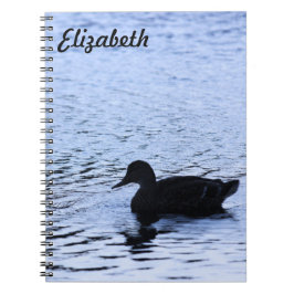 Lone Duck Wildlife Lake Water Ripples Fotografie Notizblock