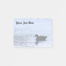 Lone Duck Wildlife Lake Water Ripples Fotografie