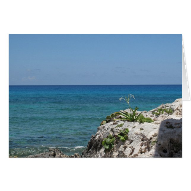 Lone Lily au bord de la mer (Devant horizontal)