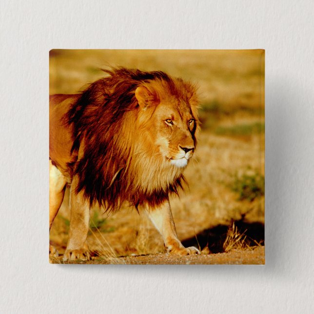 Lone Lion Button (Vorderseite)