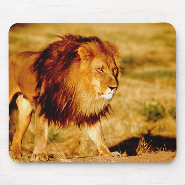 Lone Lion Mousepad (Vorne)