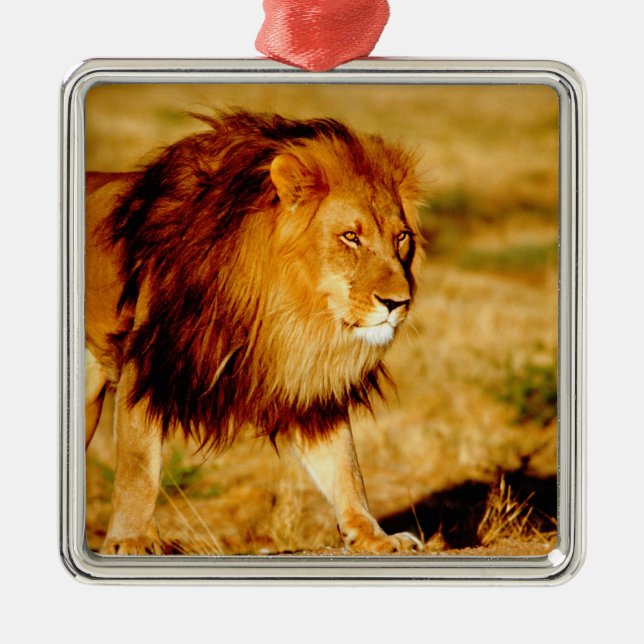 Lone Lion Ornament Aus Metall (Vorne)