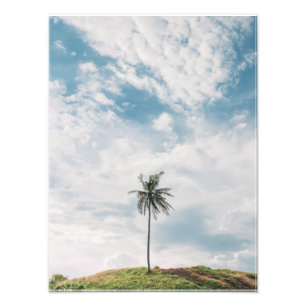 Lone Palm under Blue Sky Minimalistisch tropisch Fotodruck