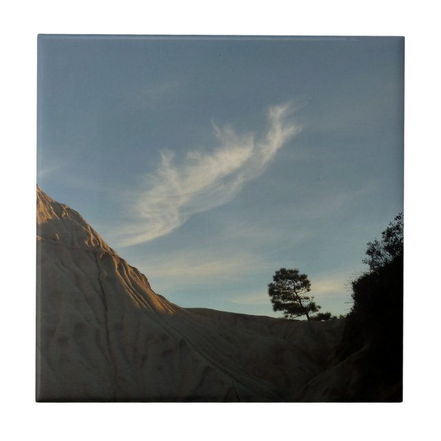 Lone Torrey Pine California Sunset Landschaft Fliese (Vorderseite)