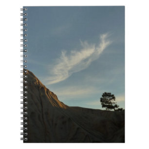 Lone Torrey Pine California Sunset Landschaft Notizblock
