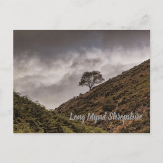 Lone Tree Long Mynd Shropshire Postkarte