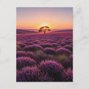 Lone Tree North York Moors National Park England Postkarte