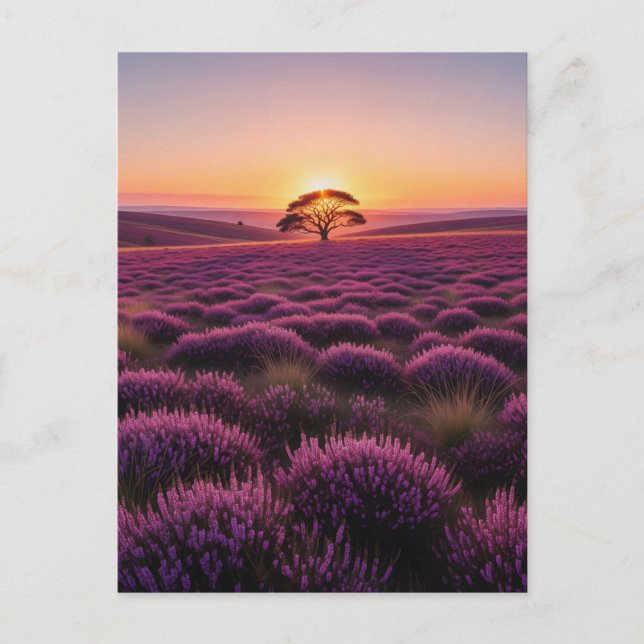 Lone Tree North York Moors National Park England Postkarte (Vorderseite)