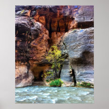 Lone Tree Zion National Park Jungfrau River Foto