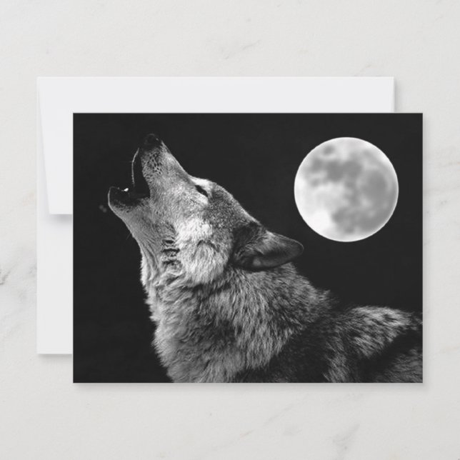 Lone Wolf Howling auf dem Mond Karte (Vorderseite)